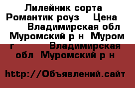 Лилейник сорта “Романтик роуз“ › Цена ­ 130 - Владимирская обл., Муромский р-н, Муром г.  »    . Владимирская обл.,Муромский р-н